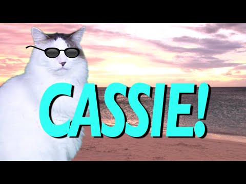 HAPPY BIRTHDAY CASSIE! - EPIC CAT Happy Birthday Song