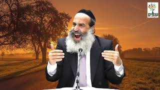 הרב פנגר - למה האריה מלך החיות - שיעור ענקקק
