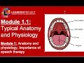 Module 1 1 Cleft Palate Speech And Feeding Importance Of Speech Therapy Intro To Anatomy