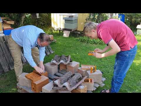 Koll avparningskassetter efter hemkomst från parningsplats.