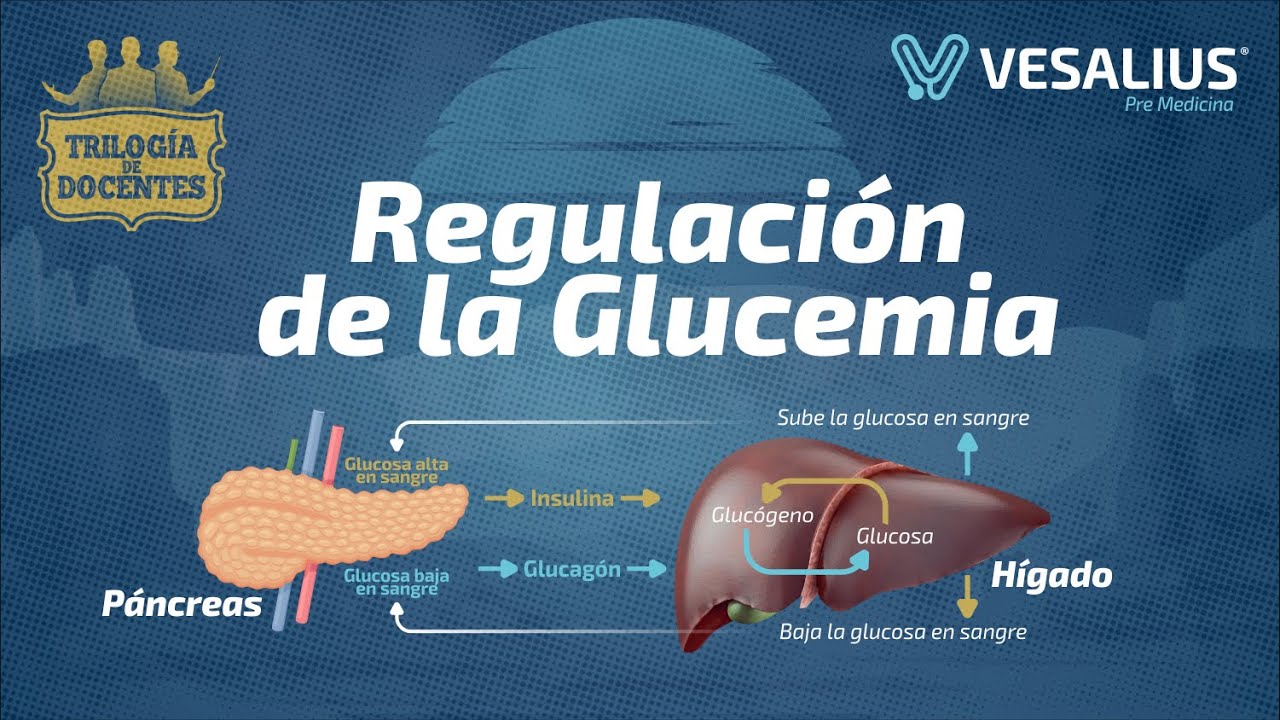 REGULACIÓN DE LA GLUCEMIA