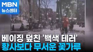 또 베이징 습격한 '꽃가루 폭설'…길바닥 태우려다 '홀랑' [MBN 뉴스센터]