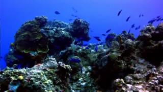 Giorgia Fumanti-Wonderful World