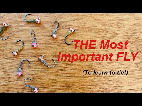 BEGINNER Fly Tying-THE Most Important Fly to learn: The Walt’s Worm