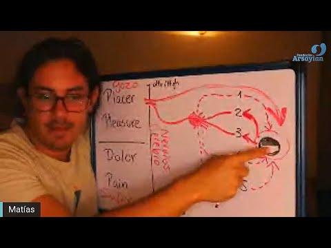 Day 344 LEAVES - Matias De Stefano - English Edit