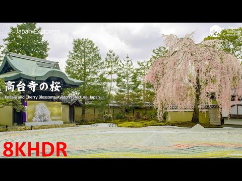 高台寺の桜 Kodaiji and Cherry Blossoms [8KHDR]