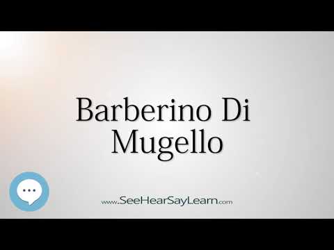 Barberino Di Mugello (How to Pronounce Cities of the World)💬⭐🌍✅