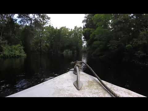 Historical Steinhatchee Flood August 2021!