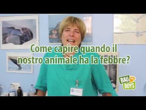 Non riesco a dormire sul mal di schiena la mattina Rimedi popolari per il dolore alle ginocchia e le articolazioni delle gambe