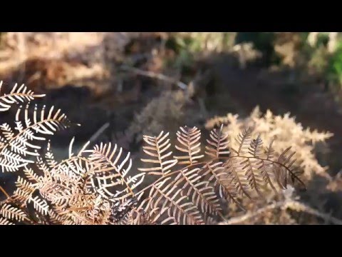 Easy Flows It - Te Miro Track