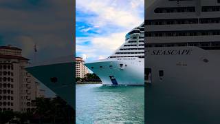 MSC Seascape 🛳️ #like #share #comment #subscribe #cruiseship #cruise #vacation #shorts #short #wow