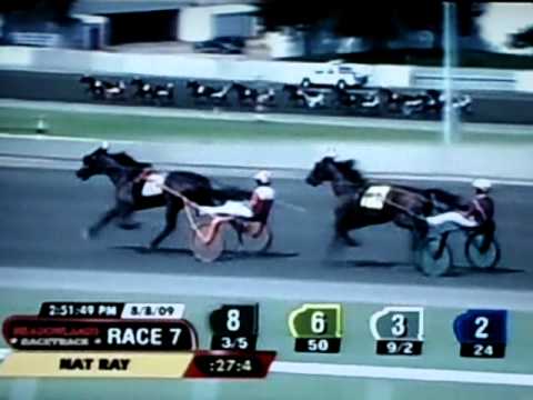 2009 Hambletonian Day - Race 7 - Nat Ray