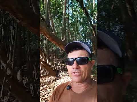Éu mostrando as belezas dá praia quarto crescente Aragarças Goiás 