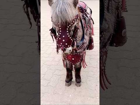 Plaza de Villa de Soto, Córdoba, Argentina.#villadesoto