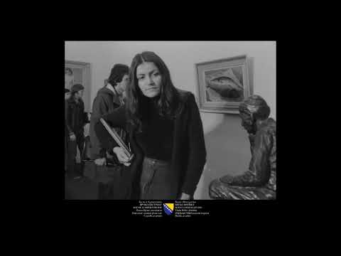 Panorama grada Brčko 1975