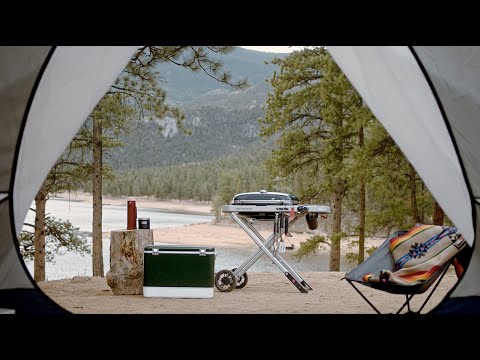 Weber Traveler Grill Introduction