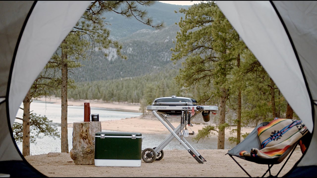 Weber Traveler Portable Propane Gas Grill - Stealth Edition