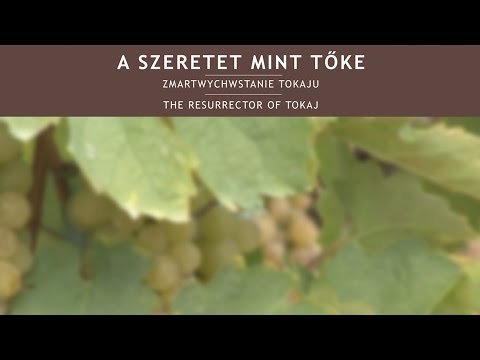 ZMARTWYCHWSTANIE TOKAJU - Portret Istvána Szepsy - Trailer
