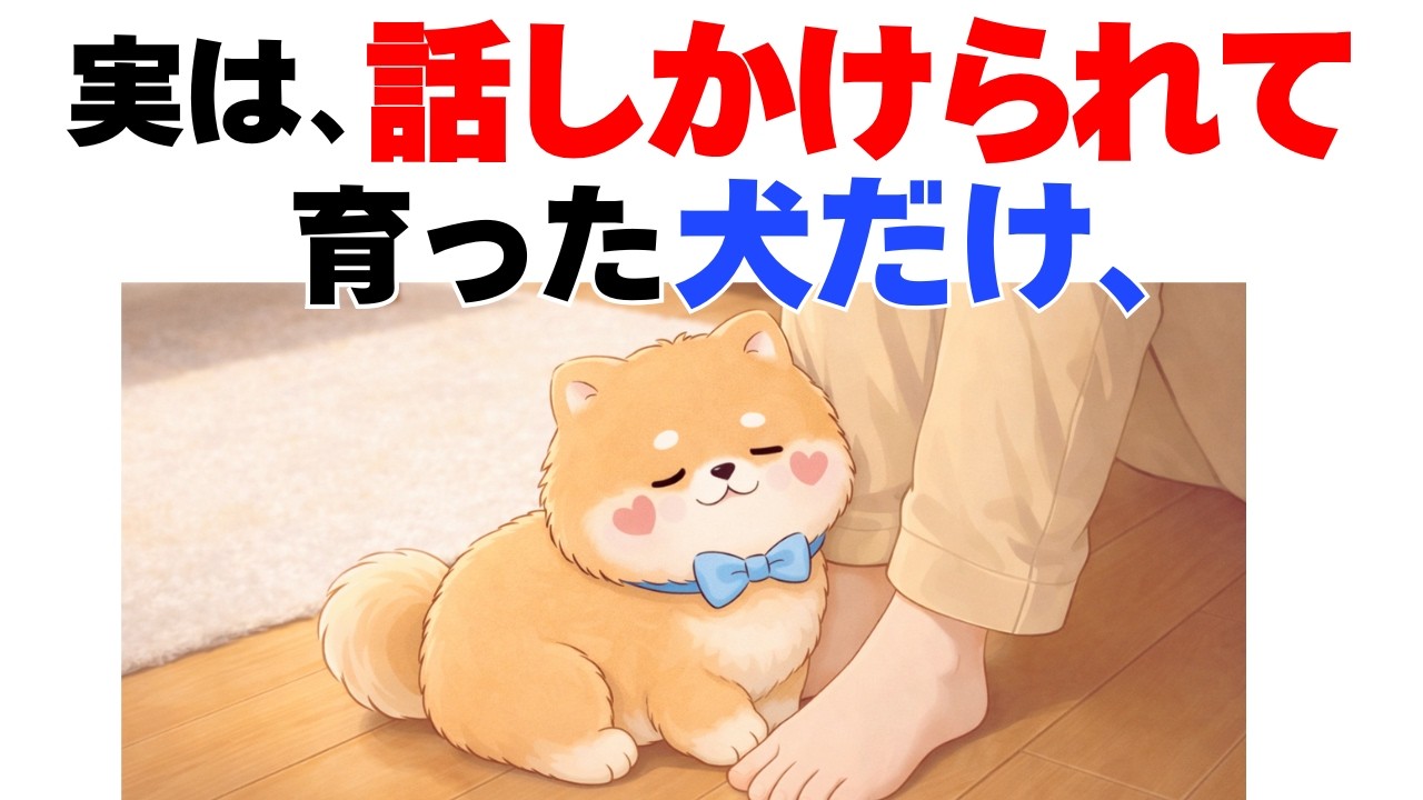 【こんなに違う!!】飼い主によく話しかけられた犬の驚くべき特徴９選｜犬の厳選雑学