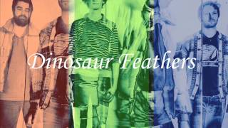 Dinosaur Feathers - SURPRISE!