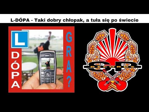 L-DÓPA - Taki dobry chłopak, a tuła się po świecie [OFFICIAL AUDIO]