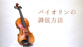 PLAYTECH ( プレイテック ) PVN244 バイオリン 4/4 初心者セット PLAYTECH ( プレイテック ) PVN244 バイオリン 4/4 初心者セット