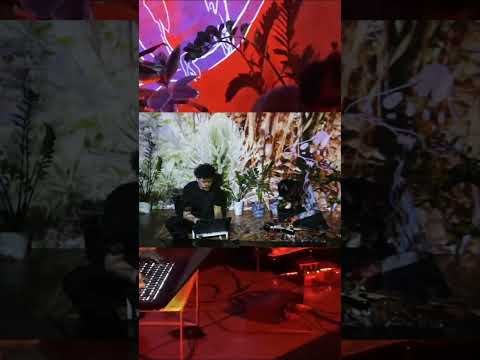 Where the Birds Come From — video 1
