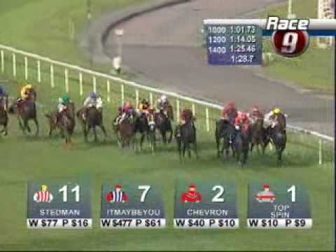 RAFFLES CUP 09/11/08 - CHEVRON