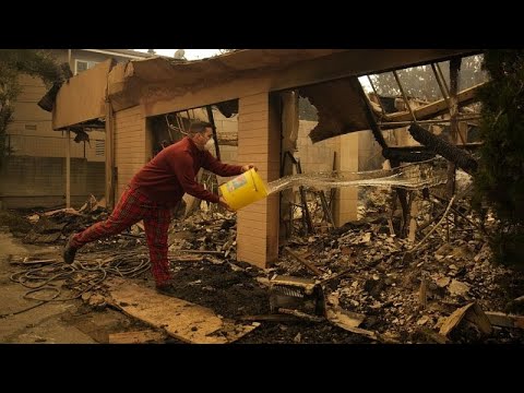 Video. Los Angeles fires leave a devastated landscape
