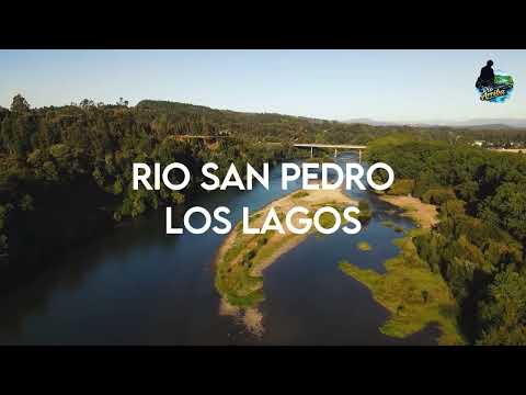 RÍO ARRIBA — Electronic Sessions in Nature - Los Lagos, Chile