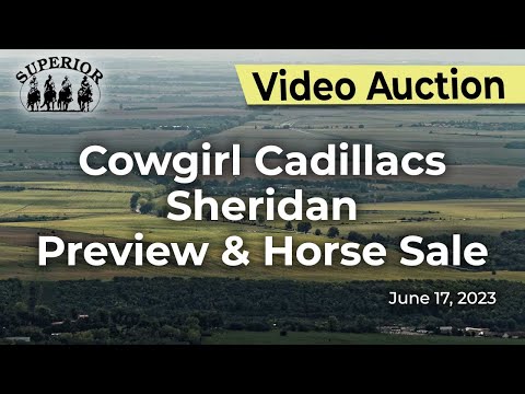 Cowgirl Cadillac Horse Sale Preview