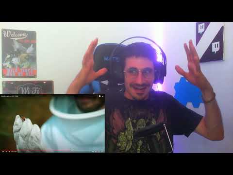 REACT Harold, Lunn & L-ALI - Raiz