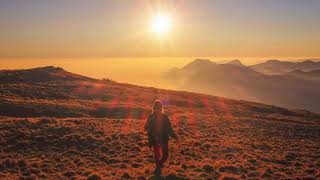 Holly Macve - White Bridge