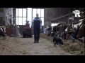 Einde dreigt voor Rotterdamse boerderij