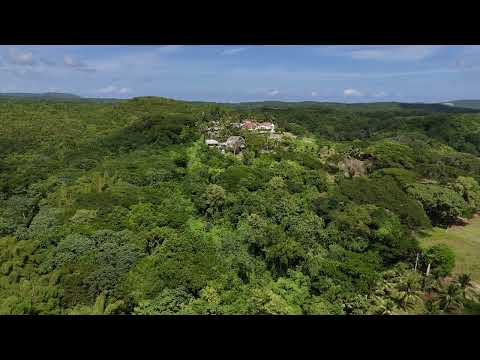 dji fly 20231107 123302 0162 1699465611559 video