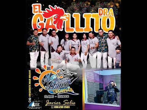 El Gallito - Orq. Mar Bravo, Exito 2022