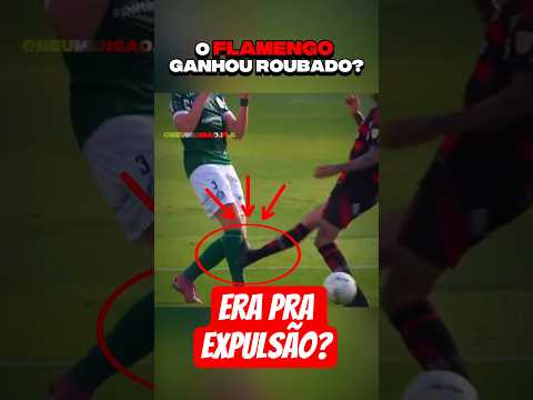 A Grande polêmica da final da libertadores entre flamengo e Palmeiras. #flamengo #palmeiras