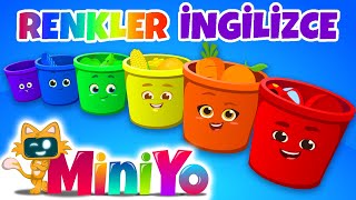 Download lagu Renkler Şarkısı İngilizce | Miniyo İngilizce Çocuk Şarkıları mp3
