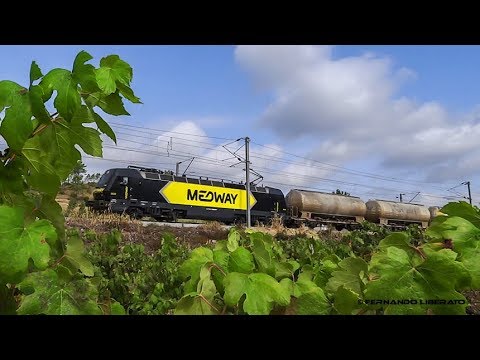 Comboios de Cimento em Souselas