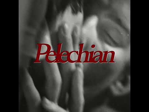 Video thumbnail for Pelechian