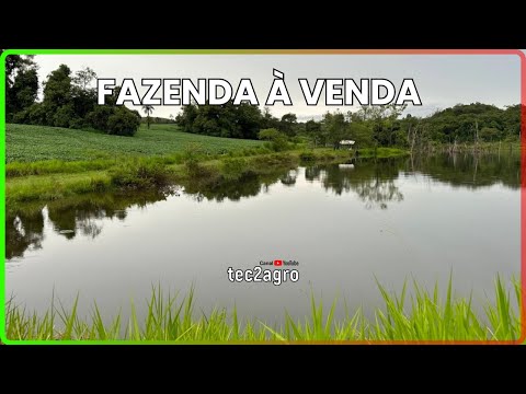 🌱 20.5 ALQ EM SANTA CRUZ DE GOIÁS - FAZENDA À VENDA EM GOIÁS [🌱DUPLA APTIDÃO] #fazenda #tec2agro