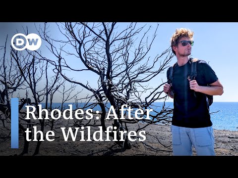 Rhodes: Is Tourism Back to Normal After the Wildfires on the Greek Island?