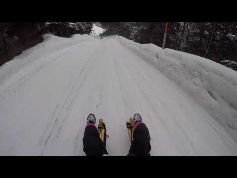 The longest toboggan run in Europe! Grindelwald | Bussalp