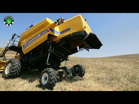 Biçinin bitməsinə son günlər qaldı.