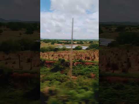 Tudo Verdinho nas estradas do meu Ceará, próximo a Ipaumirim-CE