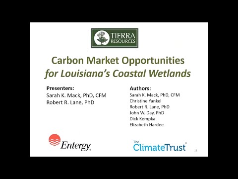 Watch ACR Webinar: Carbon Market Opportunities for Louisiana’s Coastal Wetlands on YouTube