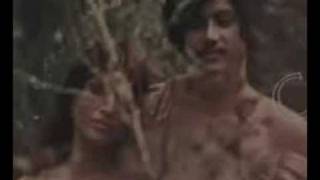 Larry Coryell Beautiful Woman