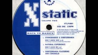 Subterrania - See The Day ('91 Remix)
