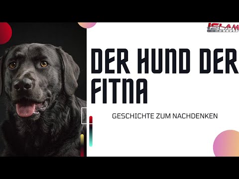 Der Hund der Fitna ᴴᴰ ┇Geschichte zum Nachdenken┇Islam Botschaft