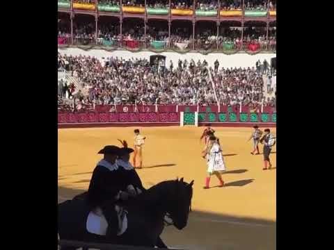 Roca Rey, Fortes y Juan Ortega, cartel de la corrida picassiana del Sábado Santo en Málaga